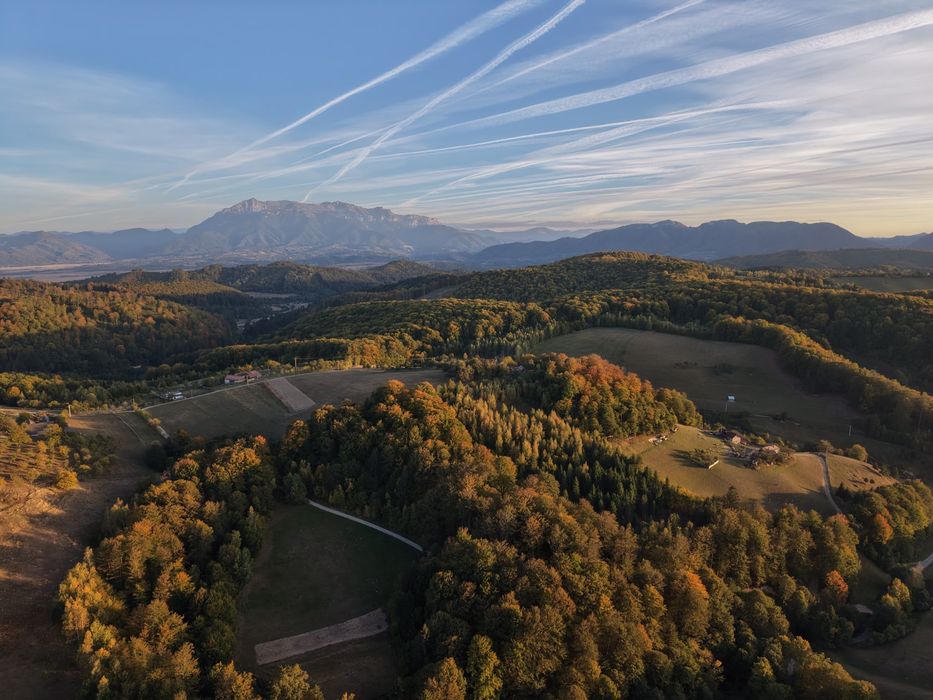 La Belle Colline