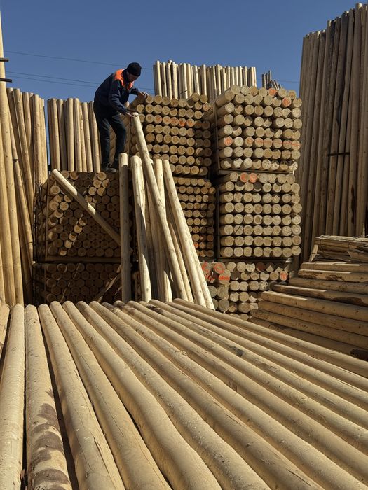 Optomga yogoch taxtalari bor