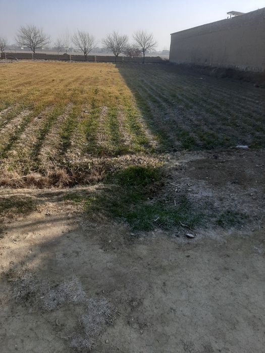 Uchastka yir sotiladi qurulish qilinmagan 12 sutk. Sutigi 20 million