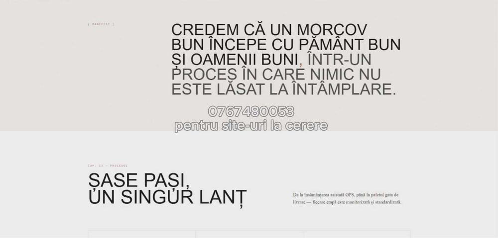 Creare site-uri moderne pentru firme + hosting + domeniu + publicare online (PREȚ FOARTE ACCESIBIL]