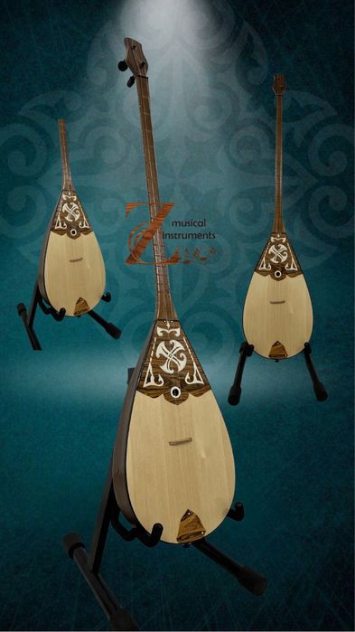 Домбыра кәсіби және әуесқой