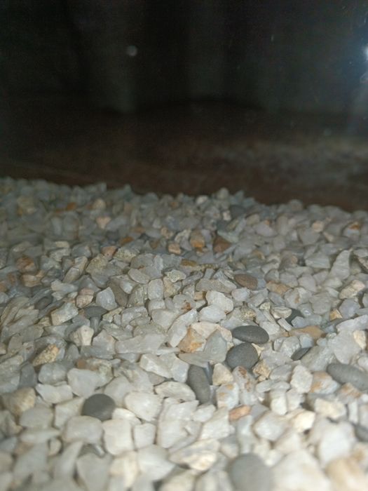 Аквариум для рыб