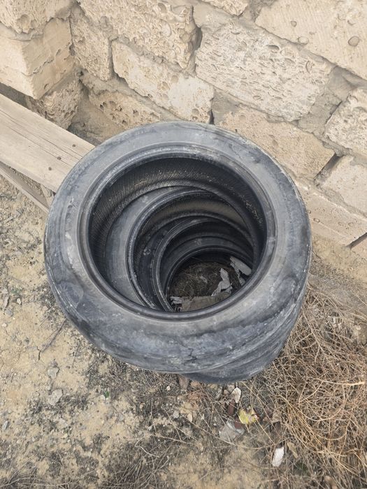 Пакричка мен титанка