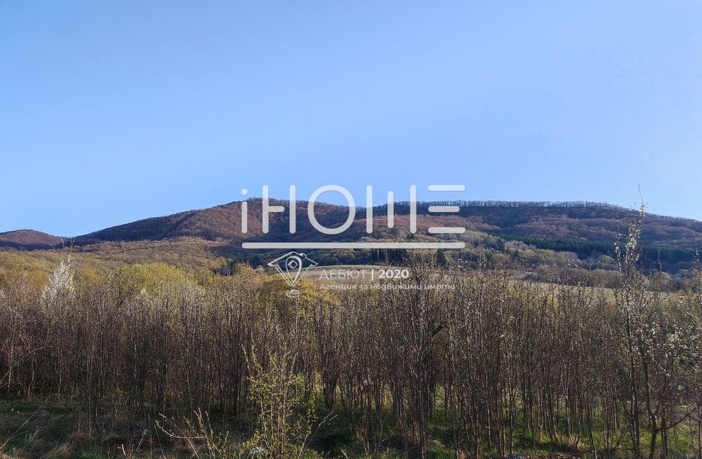 Продава се Парцел в с. Мало Малово, Област София-област - 20000 кв.м за 30 €/кв.м - Снимка #3