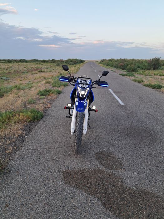 Jelmaia m19+ модельі