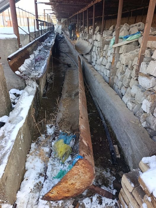 Truba shveller ugolnik list dvuxtavr armatura profil bor