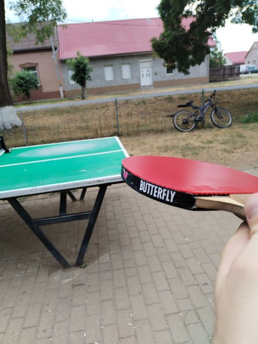 Vând paleta profesionala