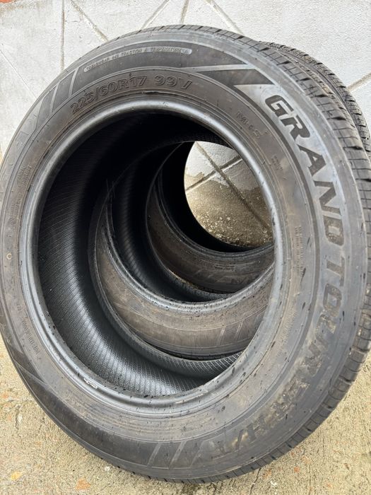 Шина ризина летняя