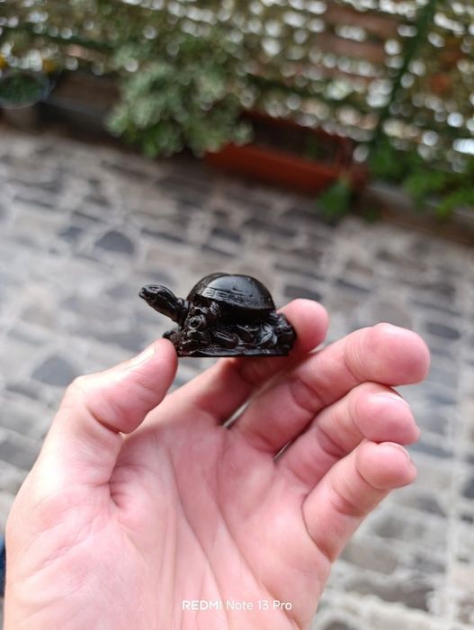 Малки костенурки