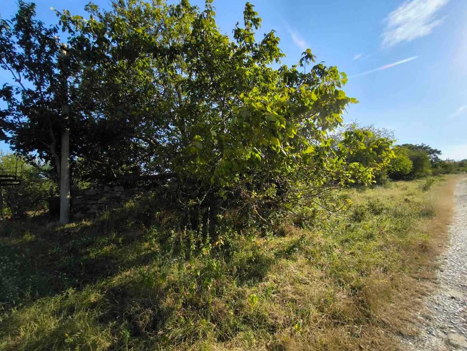 Продава се Парцел в с. Аврен, Област Варна - 1050 кв.м за 26 €/кв.м - Снимка #3