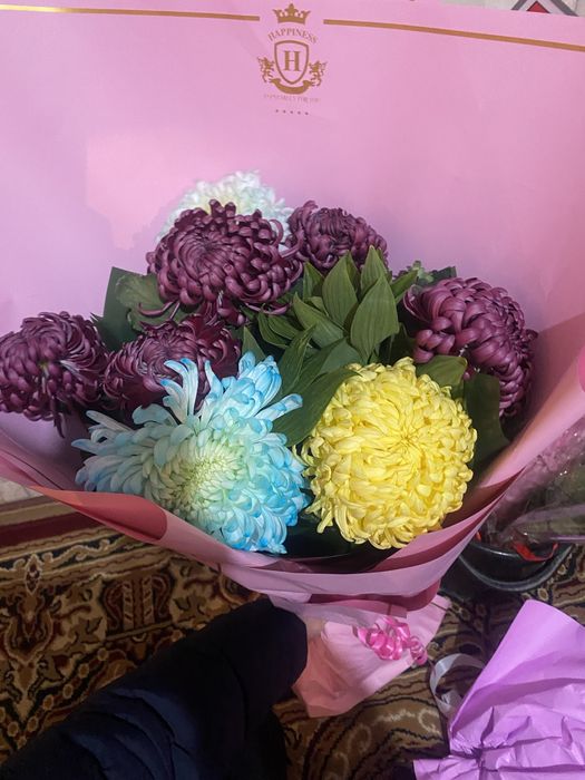 Свежый гул бугінгі