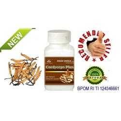 CORDYCEPS Imunitate Restabilire Pofilaxie Urinara Potenta Prostata GW
