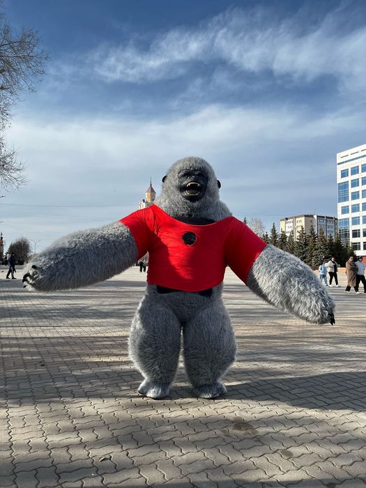 День рождения аниматоры ростовые куклы