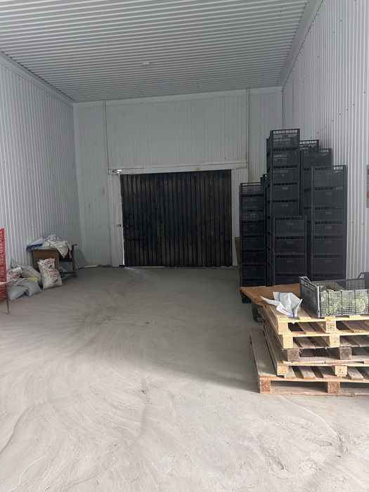 Холодильные камеры для хранения овощей и фруктов, раздельные камеры