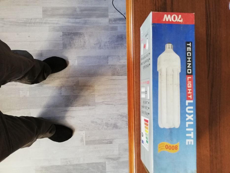 Электро лампочки компактные