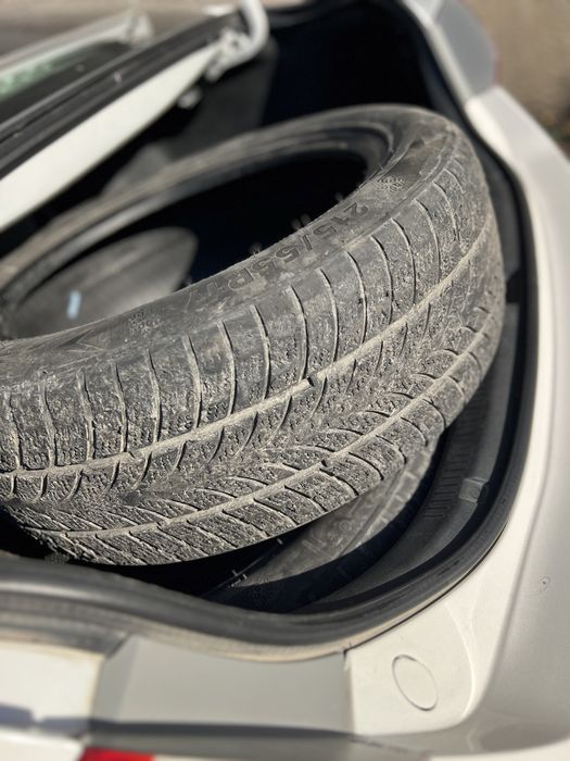 Зимние шины TRIANGLE