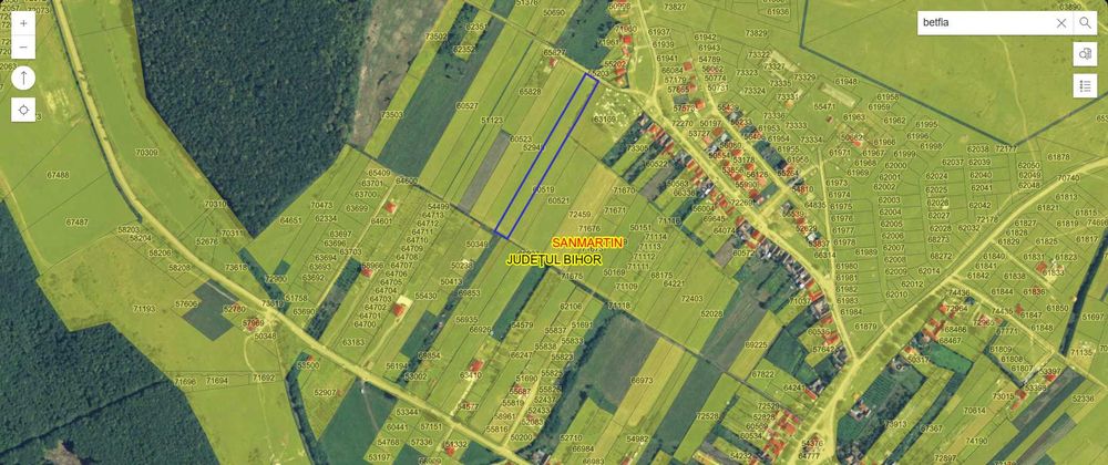 Teren intravilan 5487 mp în localitatea Betfia, comuna Sânmartin