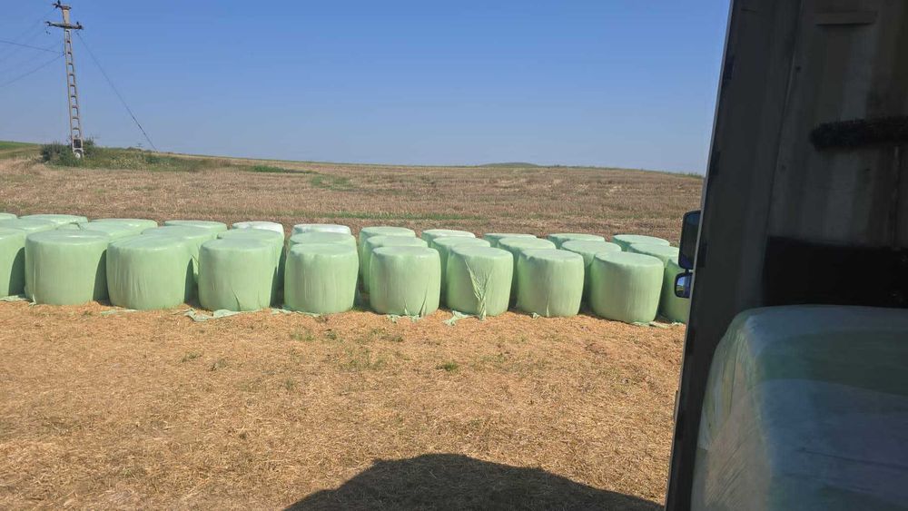 Baloți de lucernă înfoliați