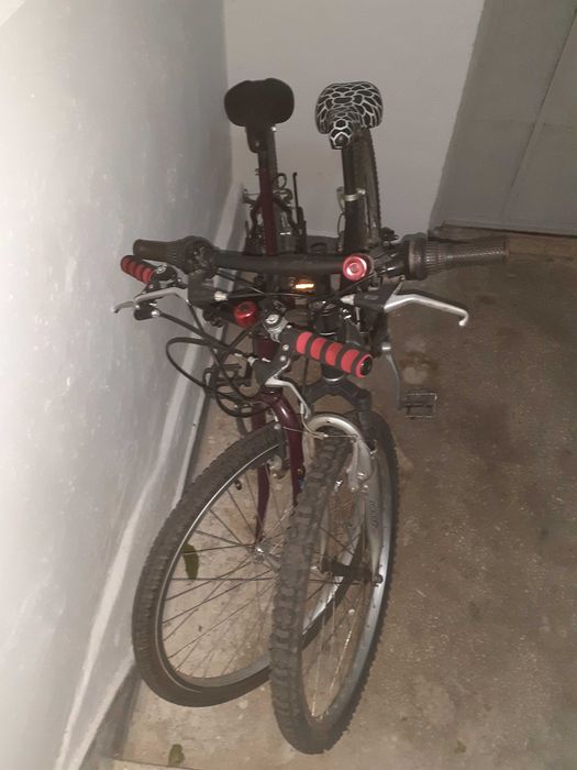 Doua biciclete SH