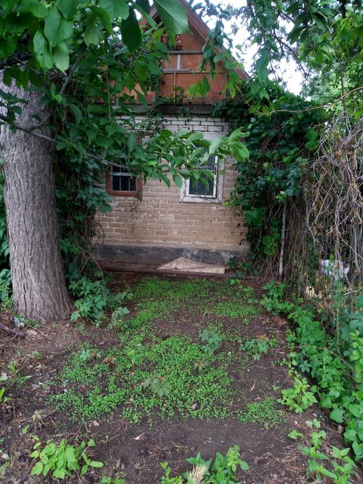 Две  дачи на кривом озере