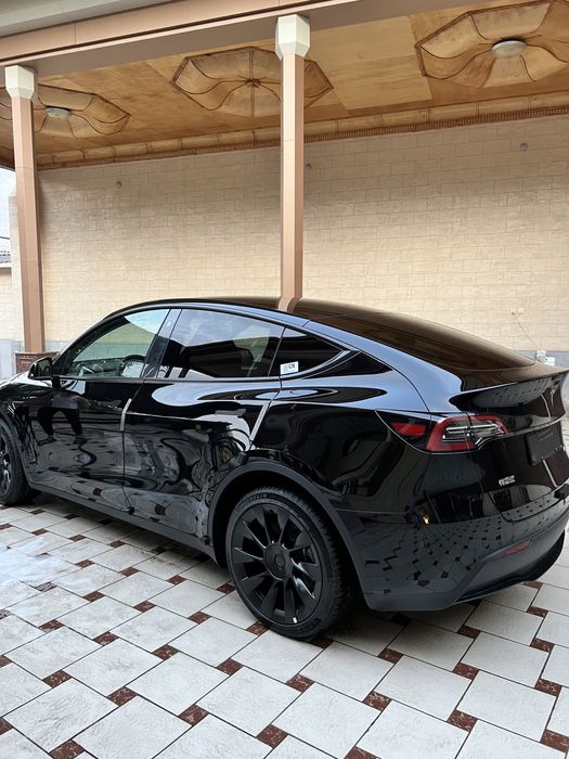 Tesla Model Y single motor performance 2023