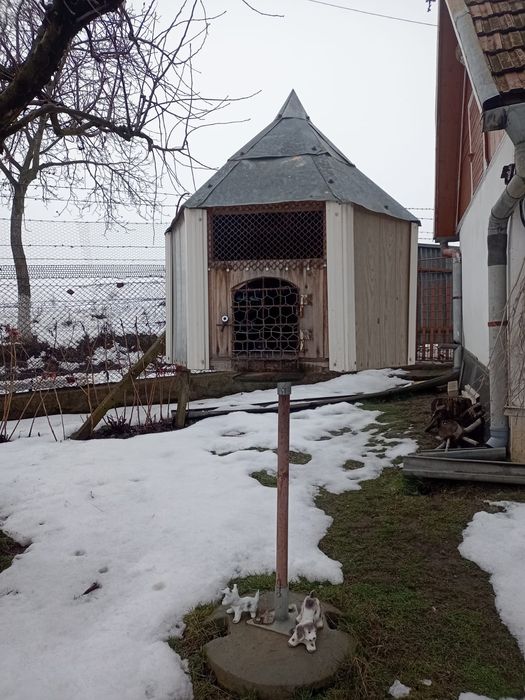 Colivie decorativa pentru porumbi