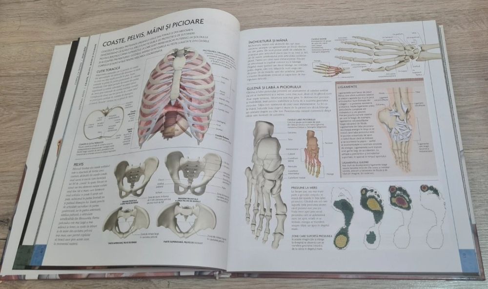 Corpul uman - Manual complet