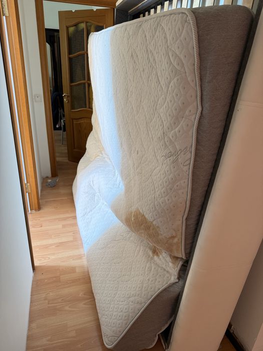 Бесплатно, Отдам даром