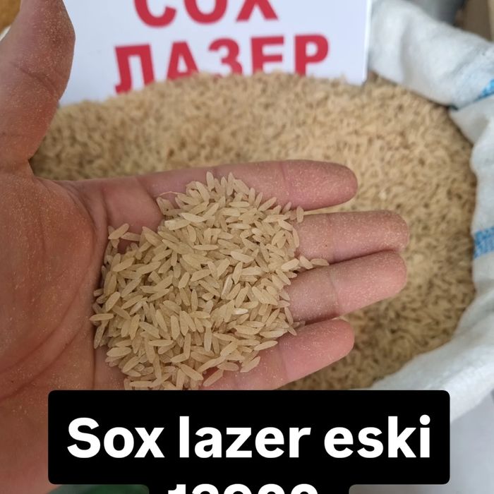 Istalgan hildagi guruch larni topib beramiz