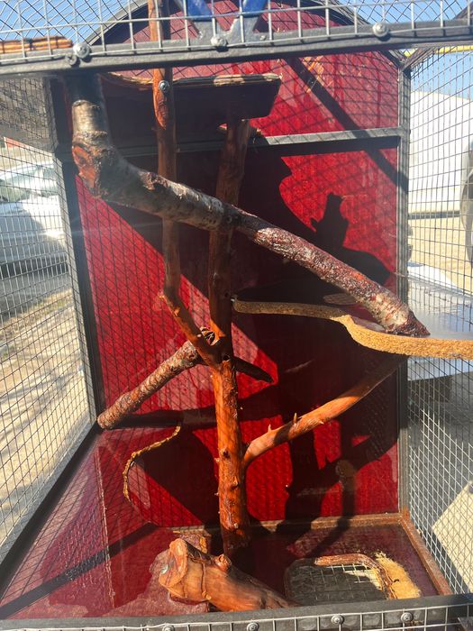 Клетка для животных