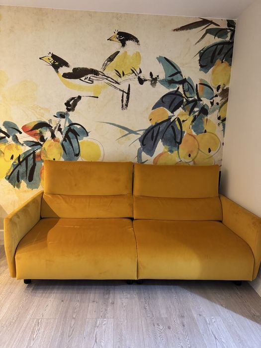 Canapea mobila dalin