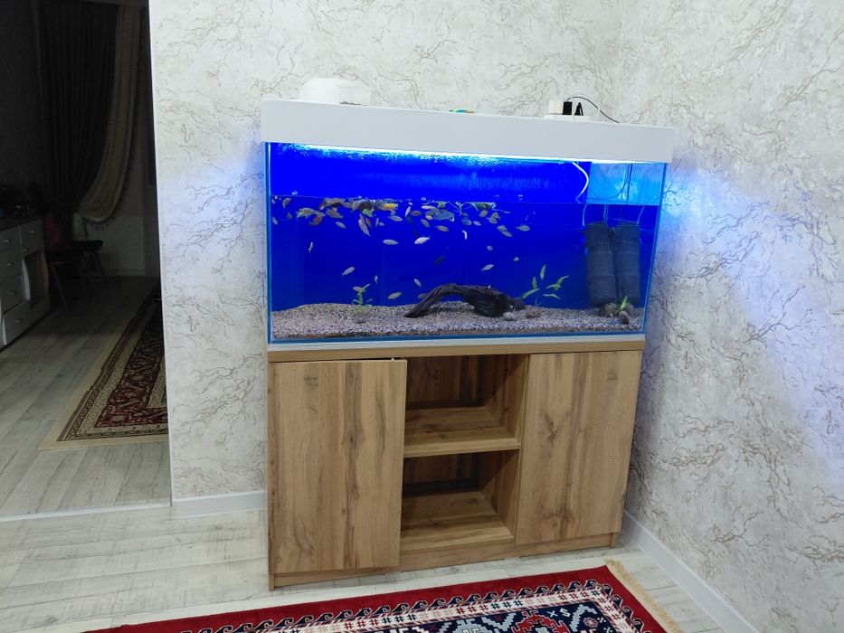 Продам аквариум,