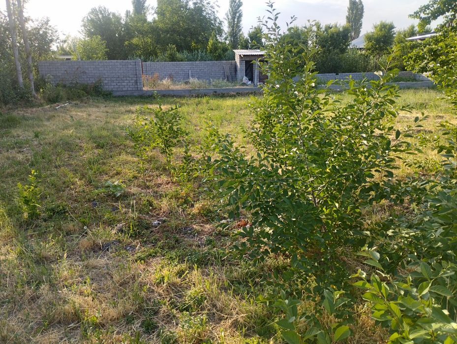 Bosh yer sotiladi 4 sotixli