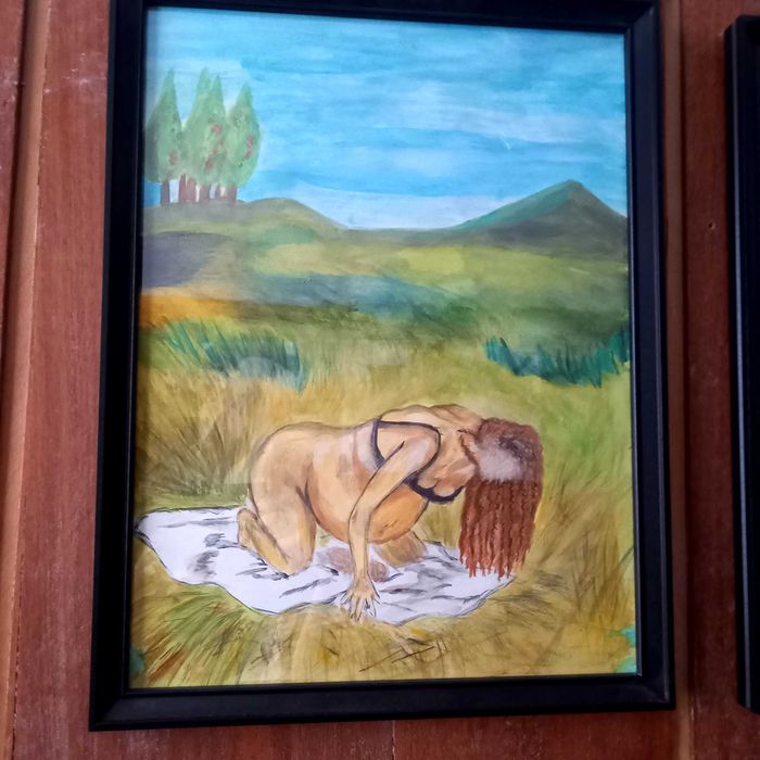 Рисувани картини в рамка