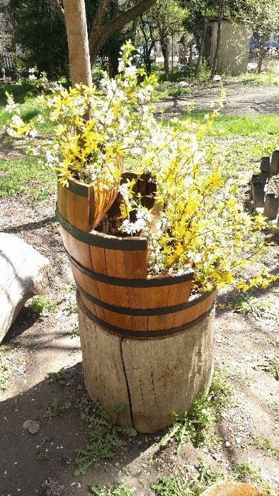 Продавам цветарник от дъбова бъчва.