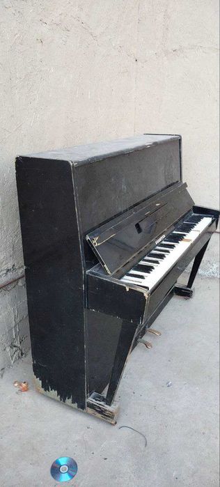 Пионина сотилади