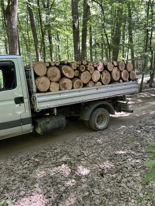 Lemn de foc esenta tare