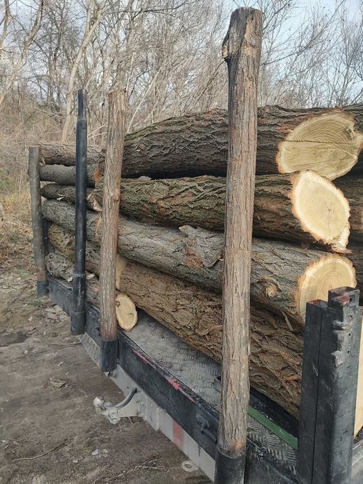 Предлагам дърва за огрев Дъб и бук Безплатен транспорт до адрес