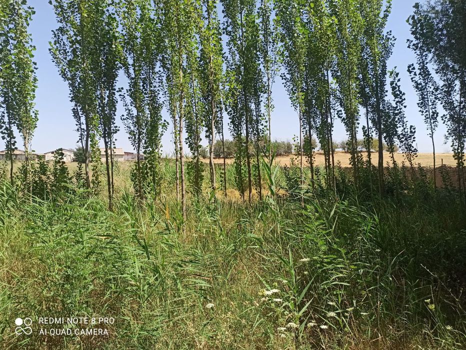 Продам землю в Кибрайском районе