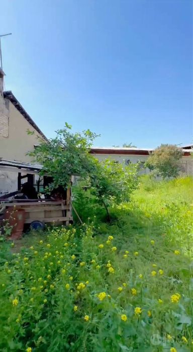 N9463 Uchtepa tumani Orikzor 6 sotix