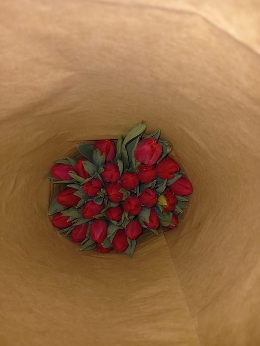 Цветы на 8-марта Тюльпаны