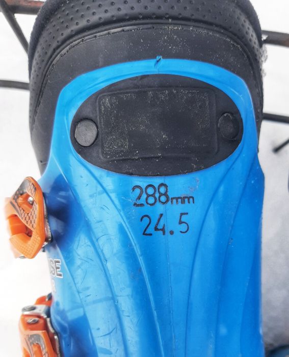 Clapari Tecnica 24,5