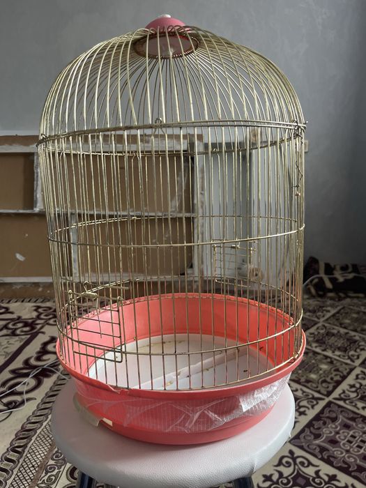 Прадаю сетка на папугай