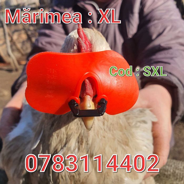 Gaini Fazani Pasari Pauni Curci Cocosi-Anti lupte-FARA AC-Ochelari-SXL