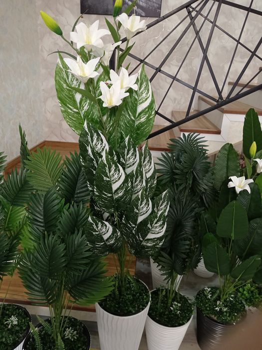 Цветы. Суний гуллар. Искусственные цветы