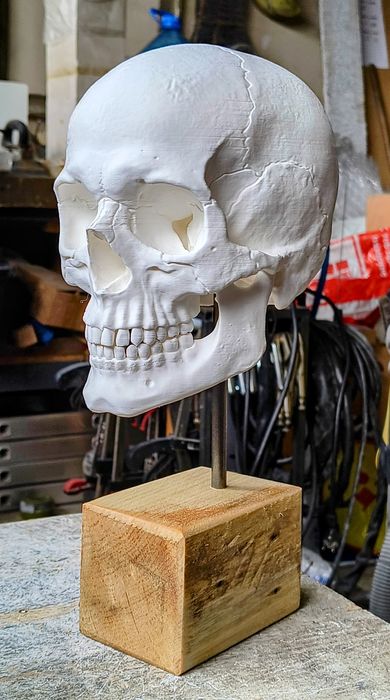 Гипсови Форми за Рисуване / Декорация / Нос / Ухо / Око / Уста / Череп