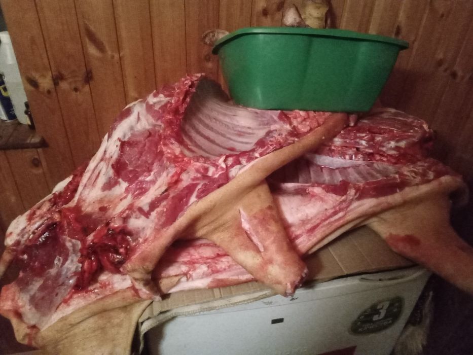 Продам мясо свинины.