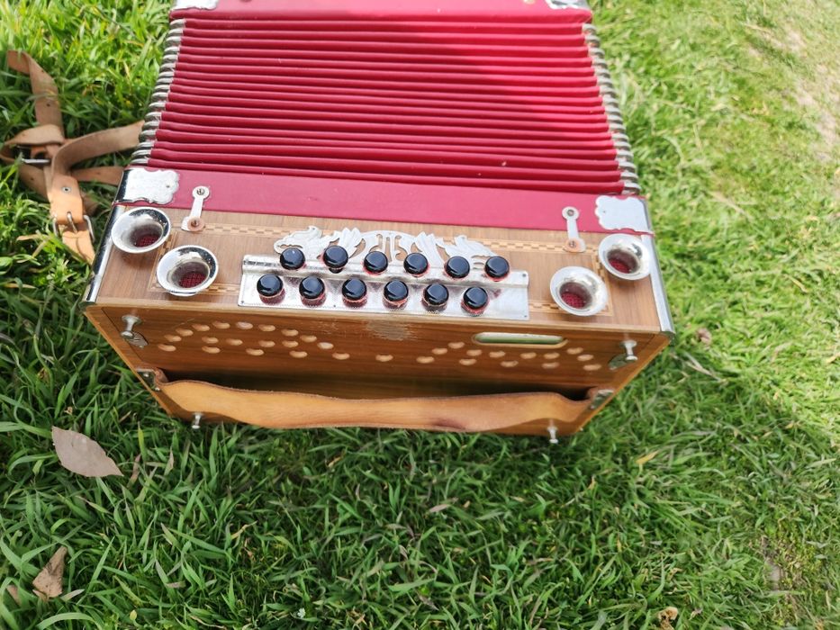 Acordeon Heligonka / armonică
