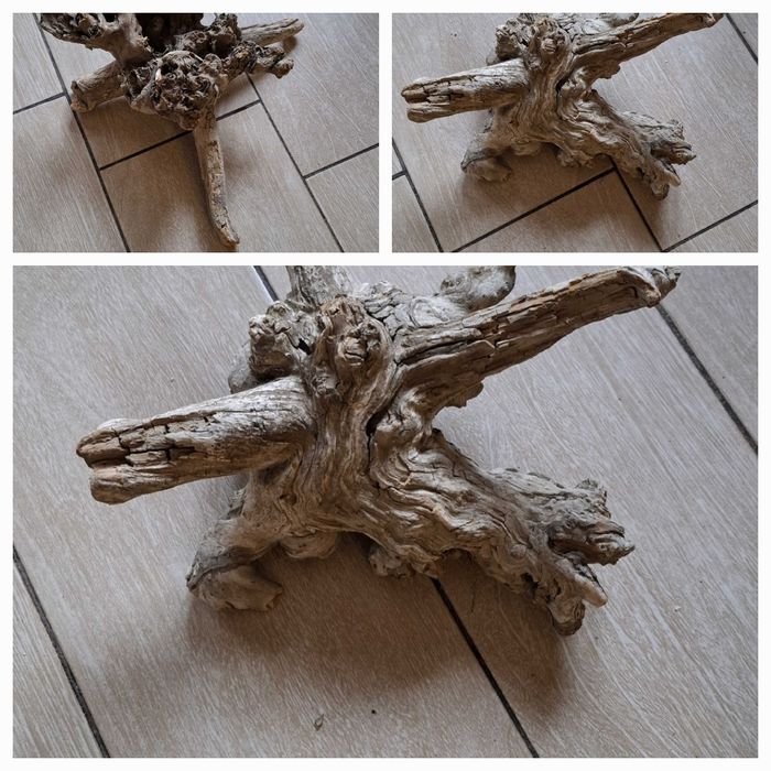 коряги разные для поделок или декора