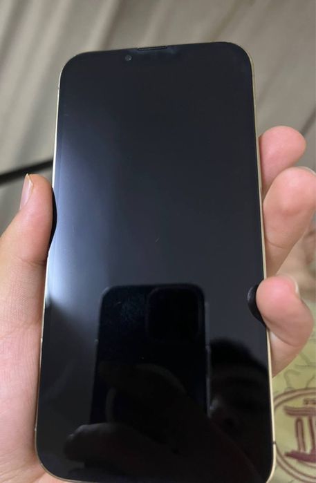iPhone 13Pro Max